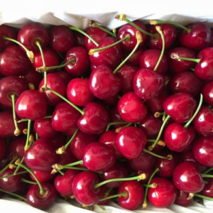Cherry Mỹ